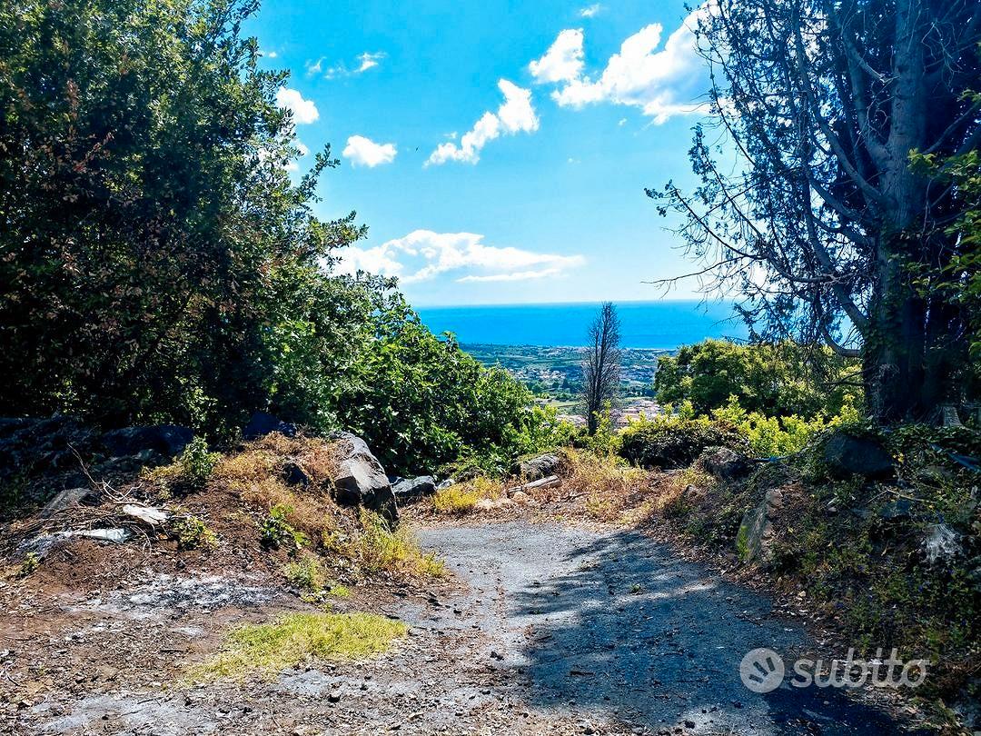 Agrumeto panoramico - Altro