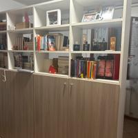 Mobile libreria con ante