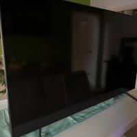 Samsung 55 pollici smart