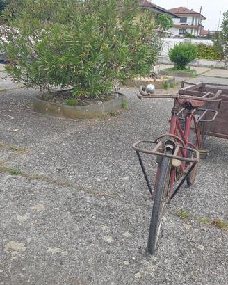 bici più carretto 