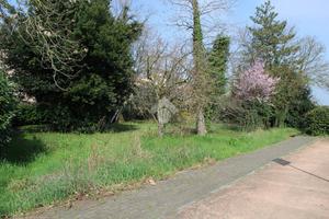 TER. RESIDENZIALE A FORLIMPOPOLI