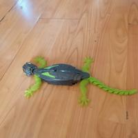 Geko telecomandato che si arrampica sulle pareti