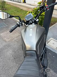 Benelli leoncino 800