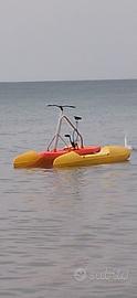 N.2 BICICLETTE ACQUATICHE