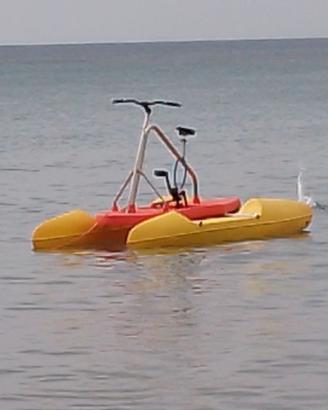 N.2 BICICLETTE ACQUATICHE