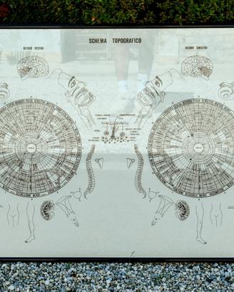 Stampa Vintage Iridologia Luigi Costacurta 1975