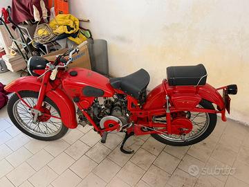 moto guzzi 250