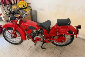 moto guzzi 250