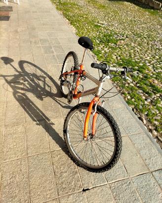 Bicicletta