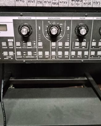 Moog Slim Little Patthy