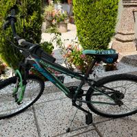 Bici ragazzo ruote da 24