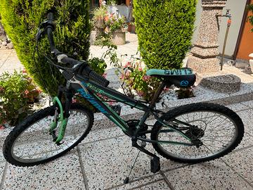 Bici ragazzo ruote da 24