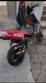 F12 Mhr 94 testa rossa