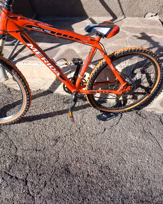 bicicletta 