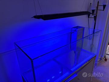 Acquario marino