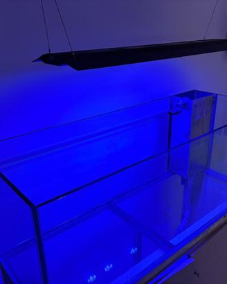 Acquario marino