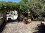 Immagine 28