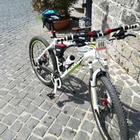 Bicicletta MTB