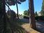 Immagine 24