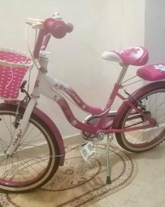bicicletta
