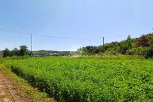 TER. RESIDENZIALE A COSSANO CANAVESE