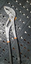 pinza pappagallo beta