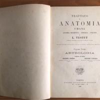 Trattato di Anatomia Umana 1899 - L. Testut