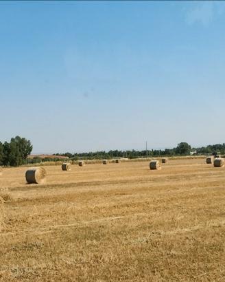 Foraggio e paglia con trasporto