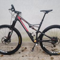 Specialized Expert STUMPJUMPER FSR CARBON 29

