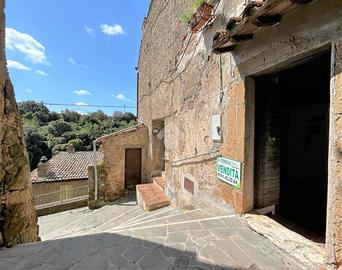 MONOLOCALE A ISCHIA DI CASTRO