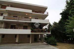 4 LOCALI A CAMPOBASSO