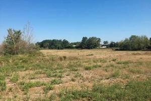 RGE 126/2022 Trib Pavia