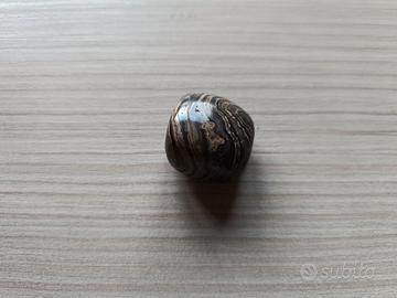 Stromatolite Pietra Naturale