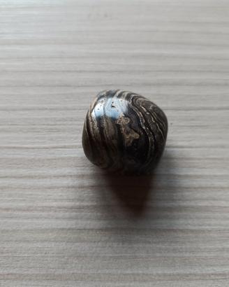 Stromatolite Pietra Naturale