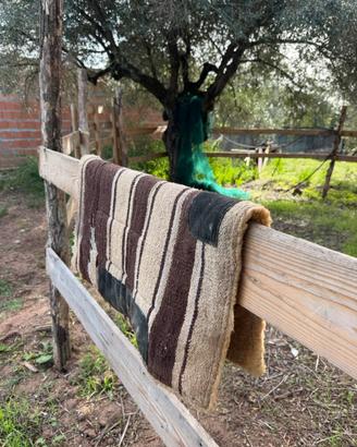 Tappetino per cavallo