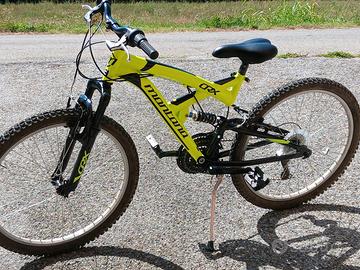 bicicletta