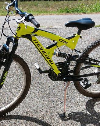 bicicletta