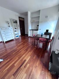 Monolocale ristrutturat