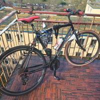 Bicicletta adriatica