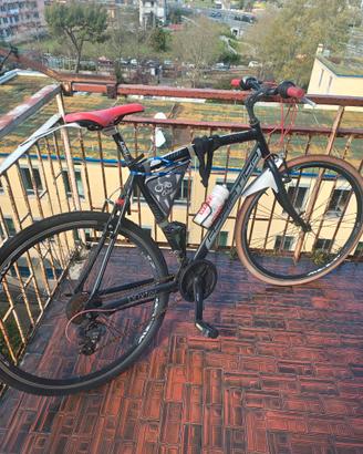 Bicicletta adriatica