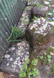 Pietre da giardino