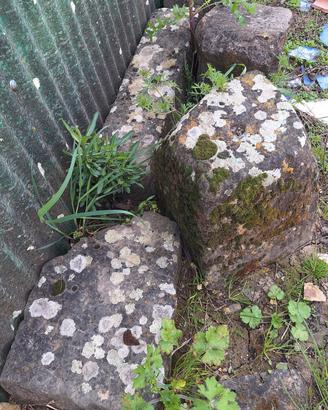 Pietre da giardino