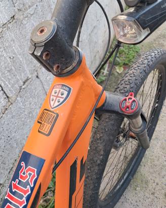 Bici Mikand 29 s