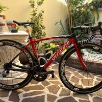 Specialized Full Carbon con 2 set di ruote
