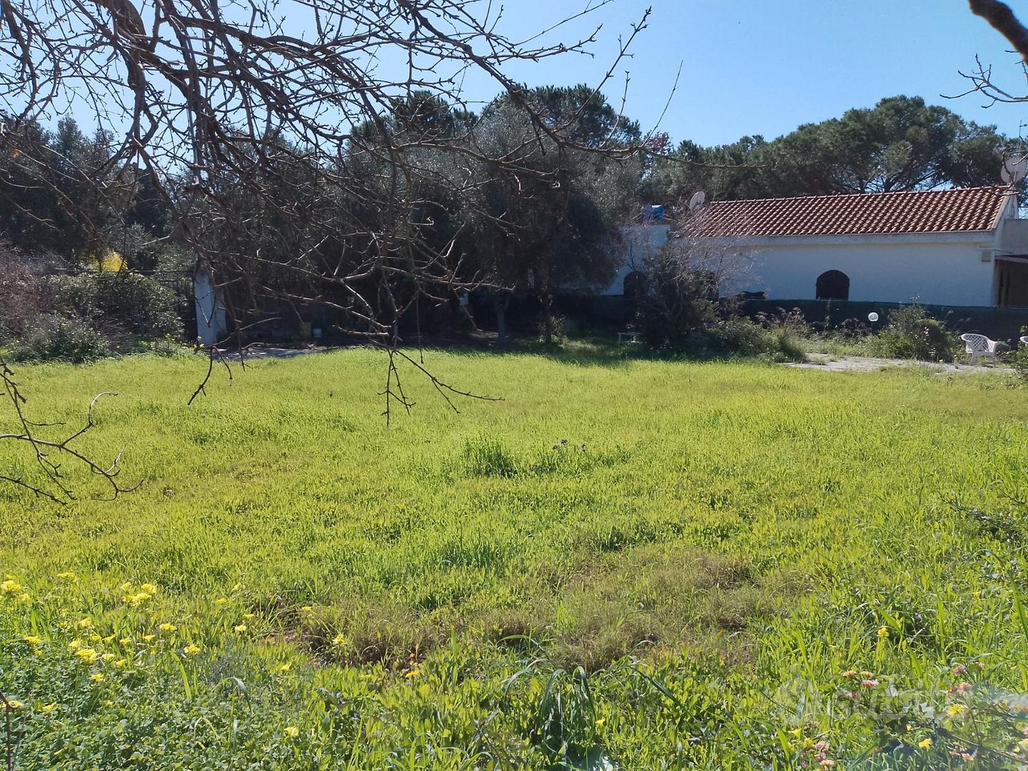 Terreno non edificabile - Vista 4