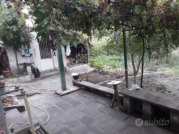 Casetta agricola più terreno