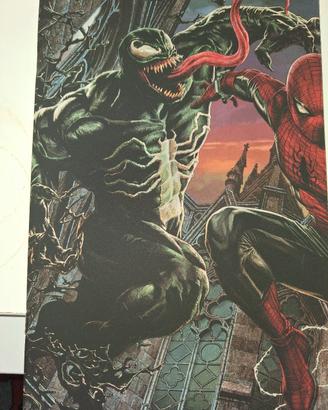 Panini Comics Amazing Spider-Man 17/894 ,divisi 2