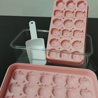 scatola porta ghiaccio con stampi