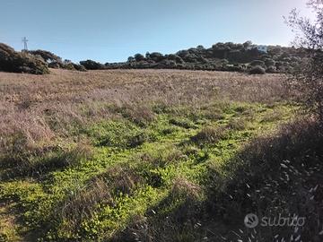 Terreno in Arzachena ( Olbia tempio)