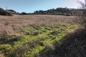 Terreno in Arzachena ( Olbia tempio)